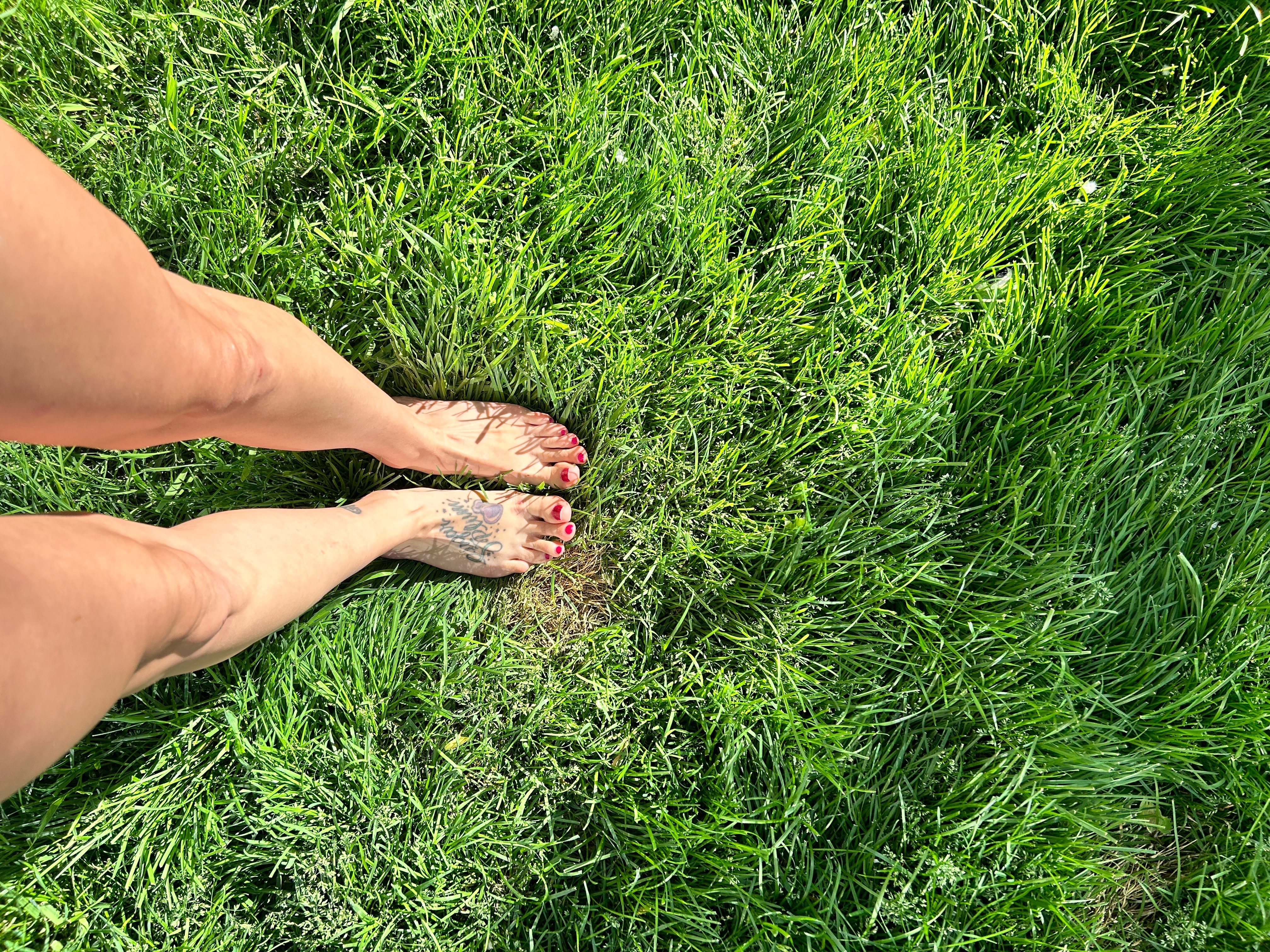 Hoppyhippiefeet profile