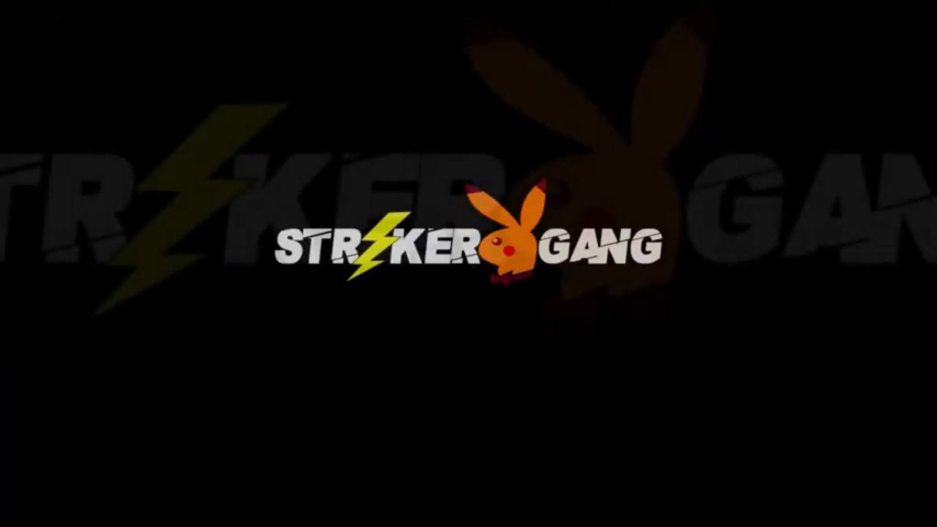 Strikergang profile