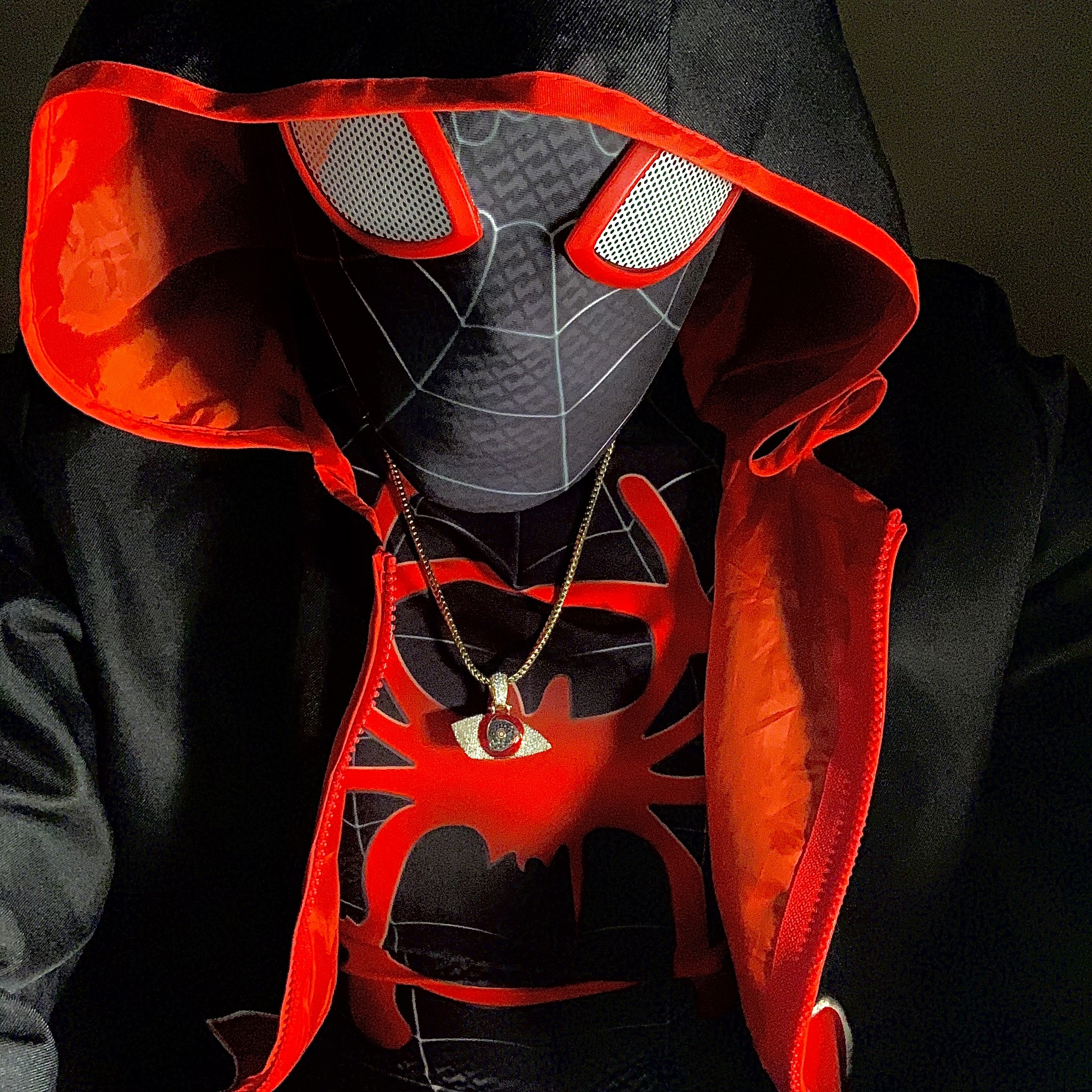 spiderdilfcover