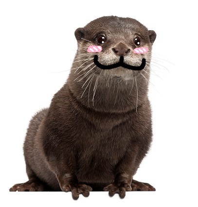 otterbootycover