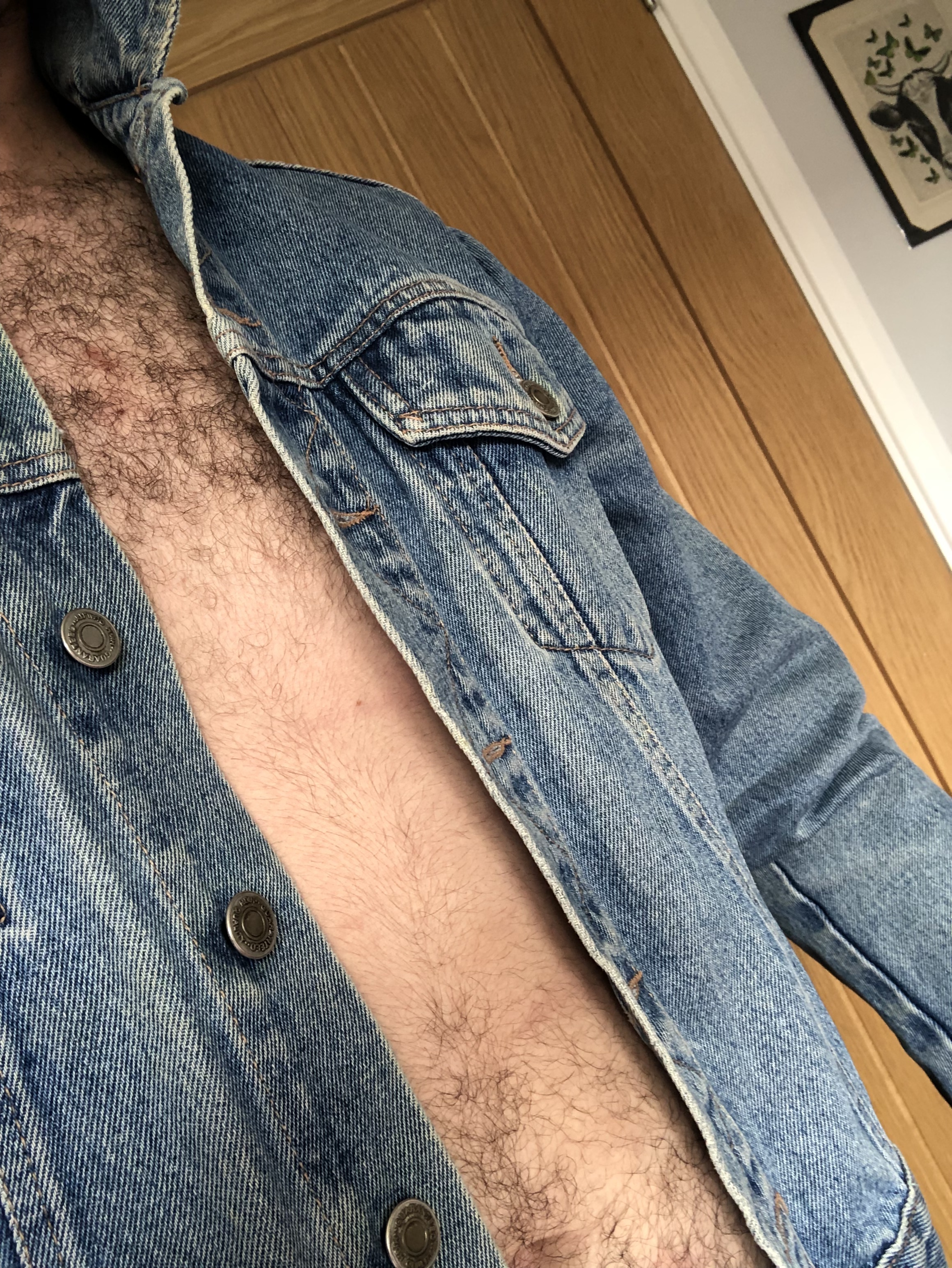 Furry denim thumbnail