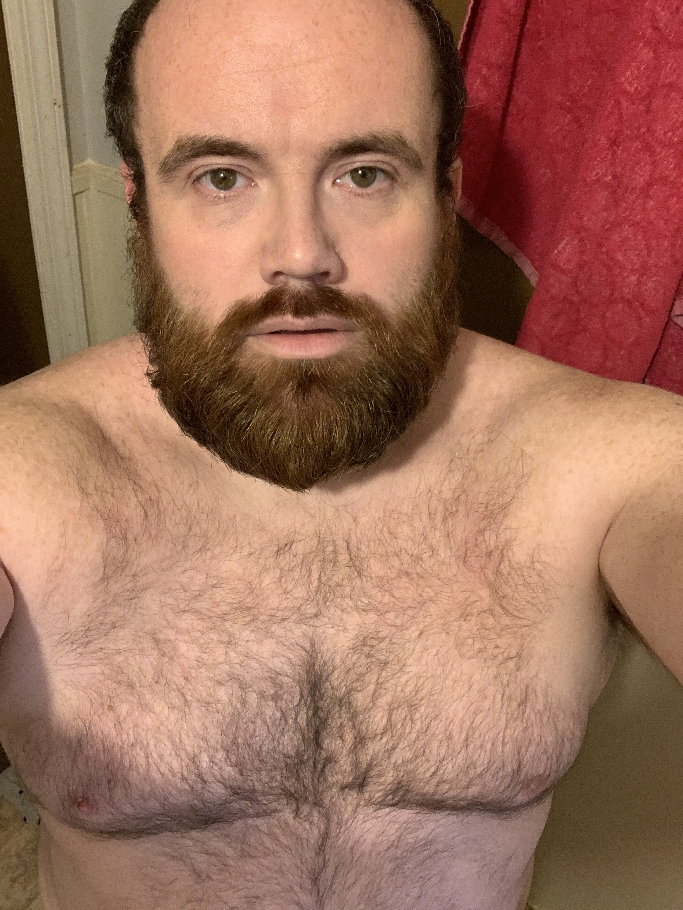 xxbearman4uxx profile