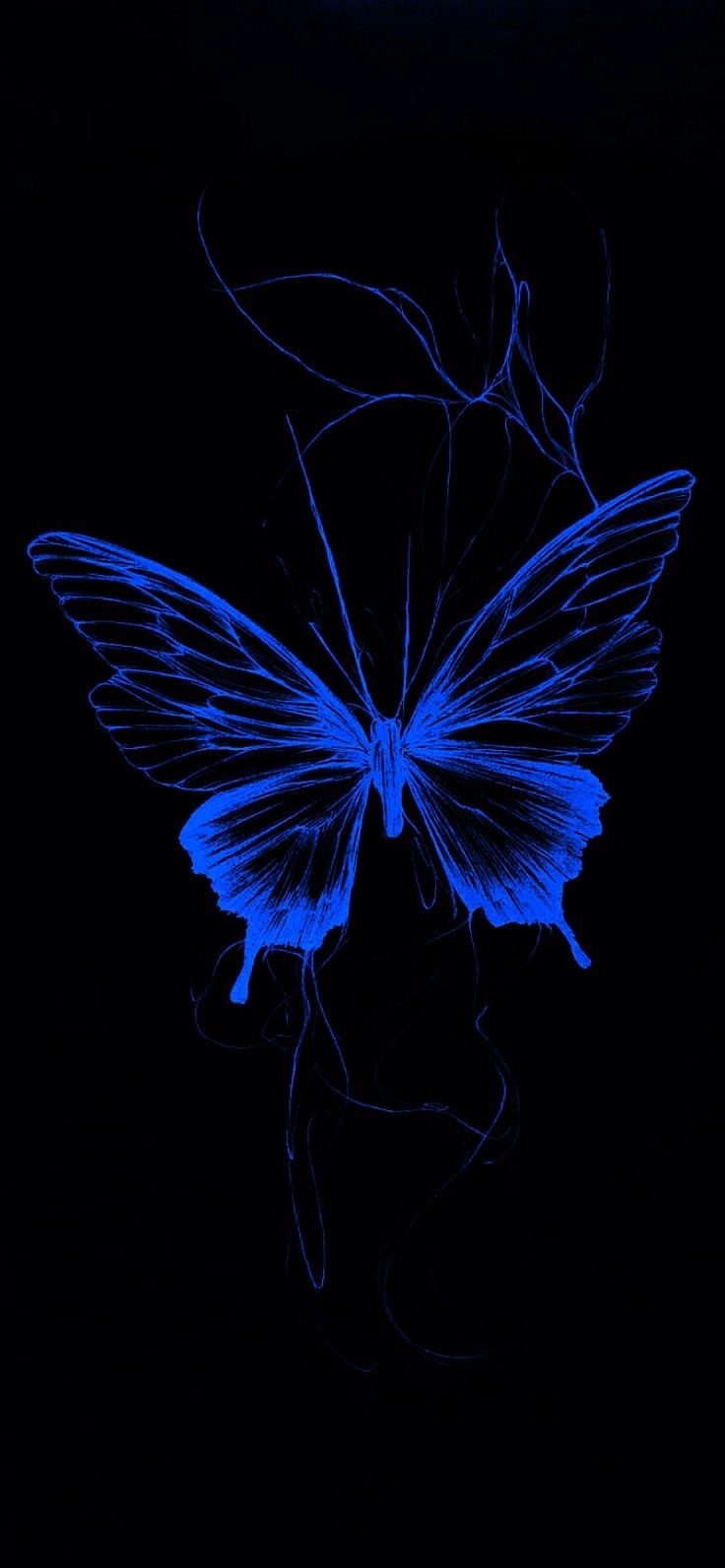 blubutterflies thumbnail