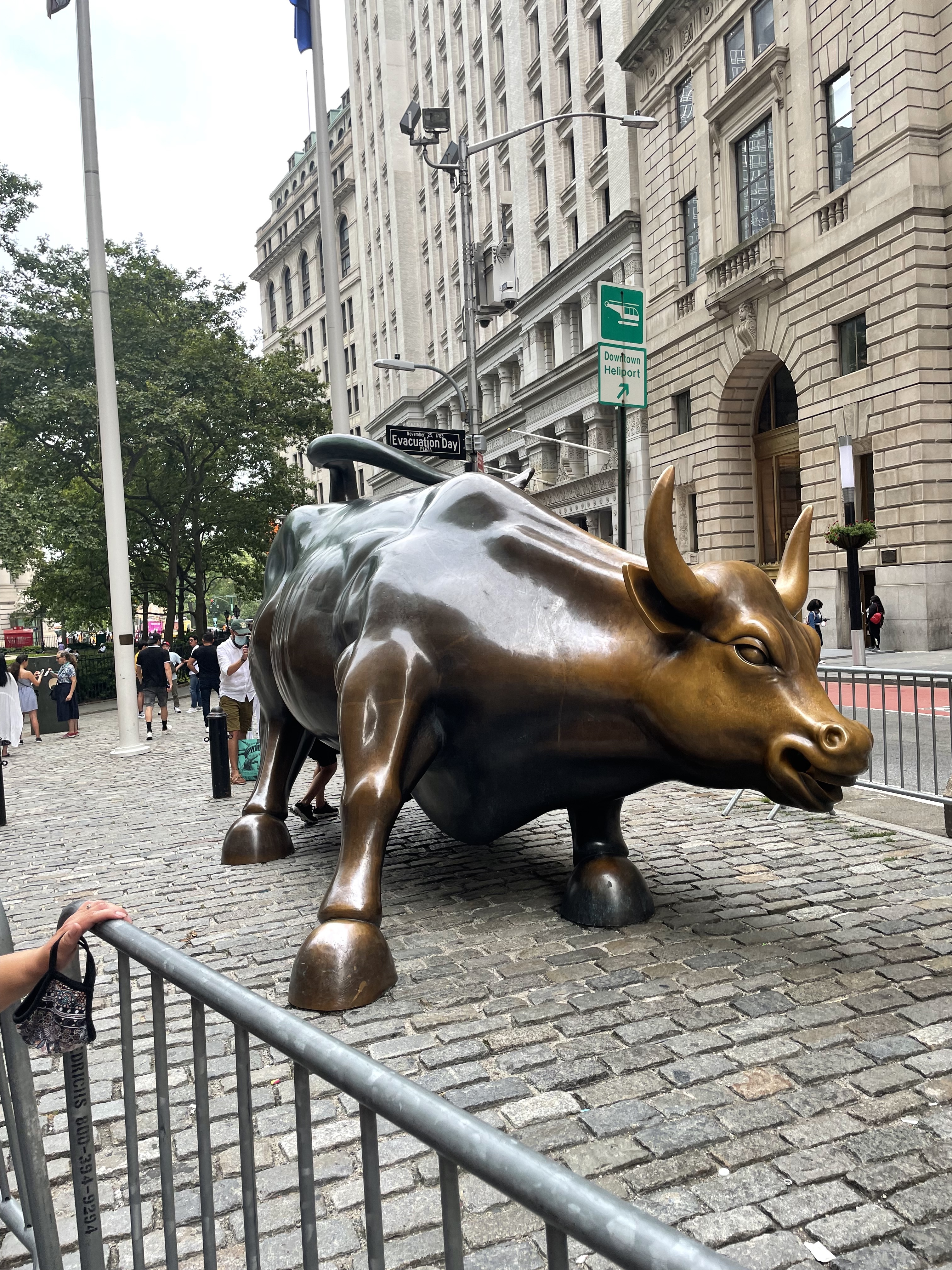 Wall Street Bully profile