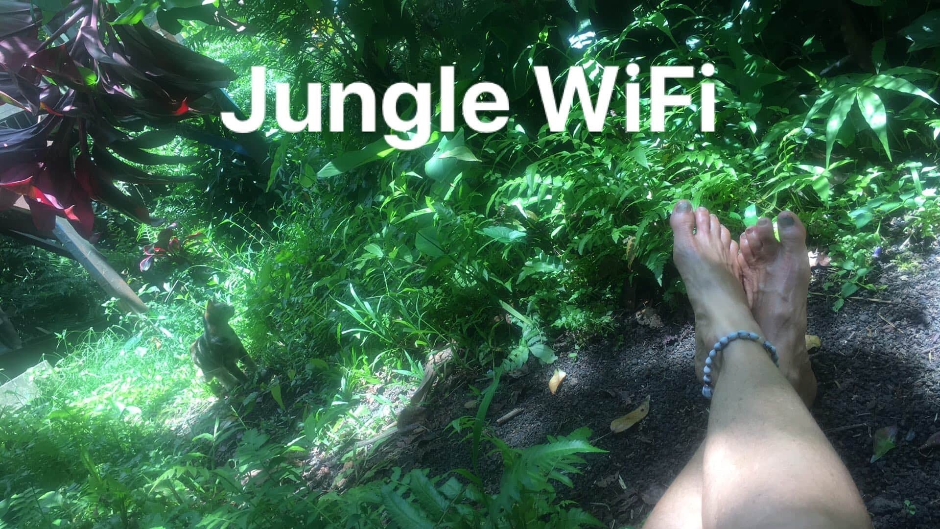 junglelady52 thumbnail