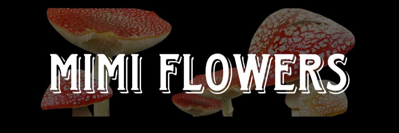 mimi_flowers_premium thumbnail