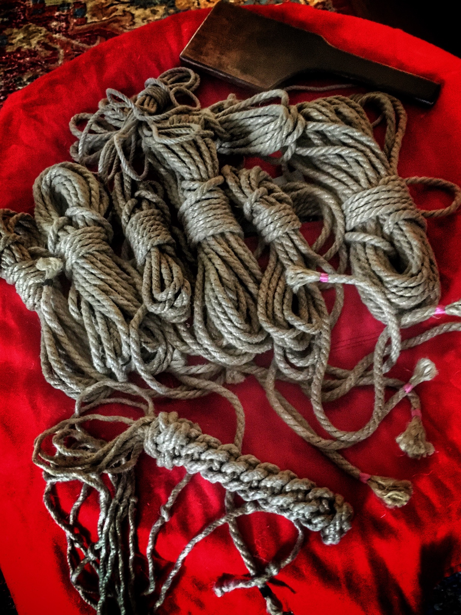 Kinbaku Boyscout thumbnail