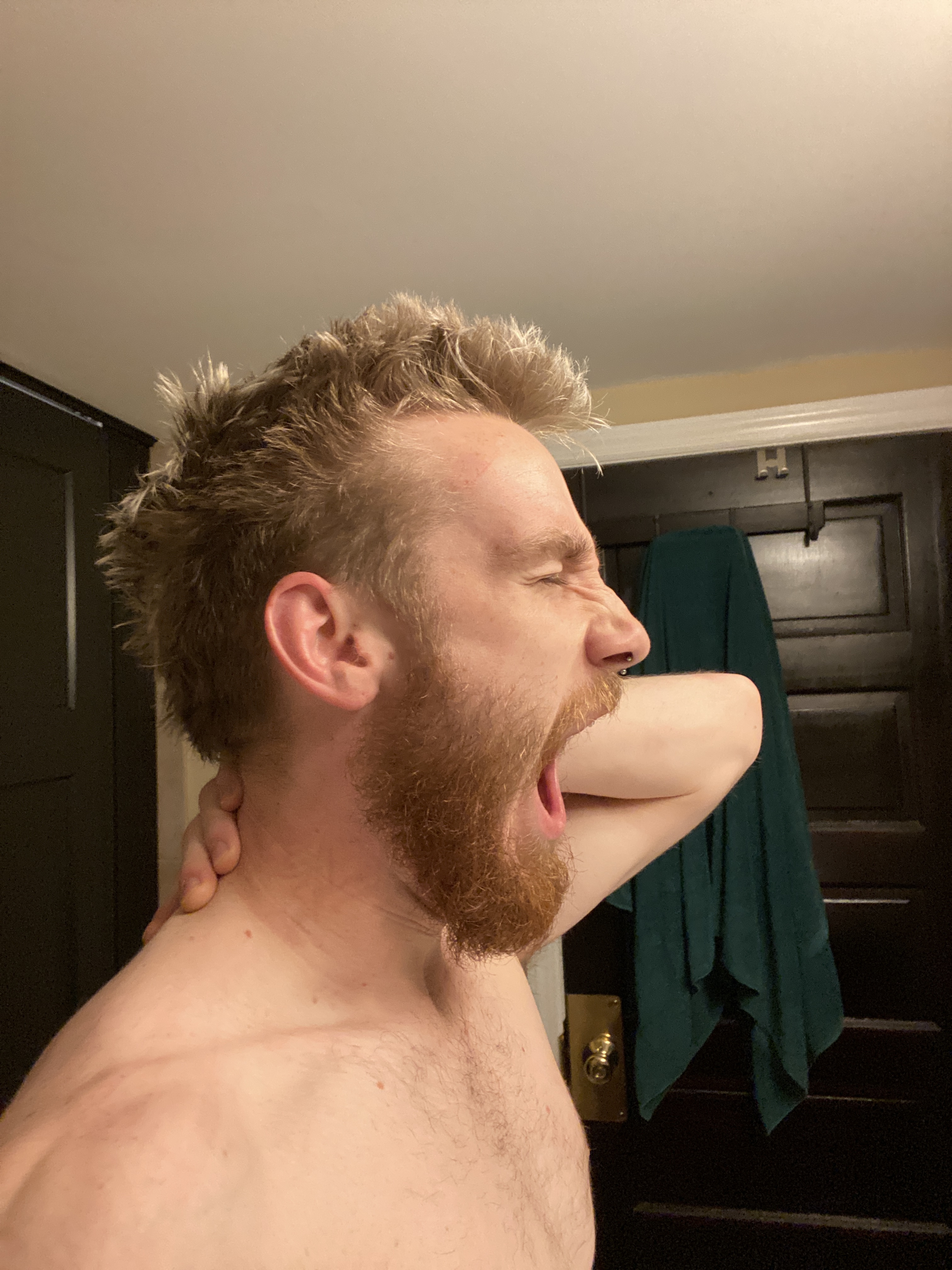 redbeard profile