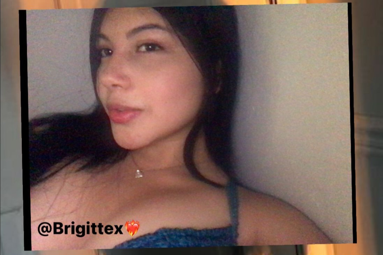 brigittex profile