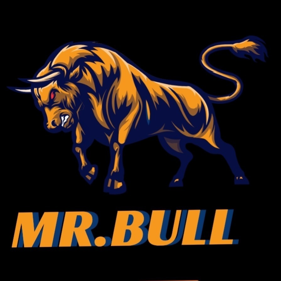 MR.BULL profile