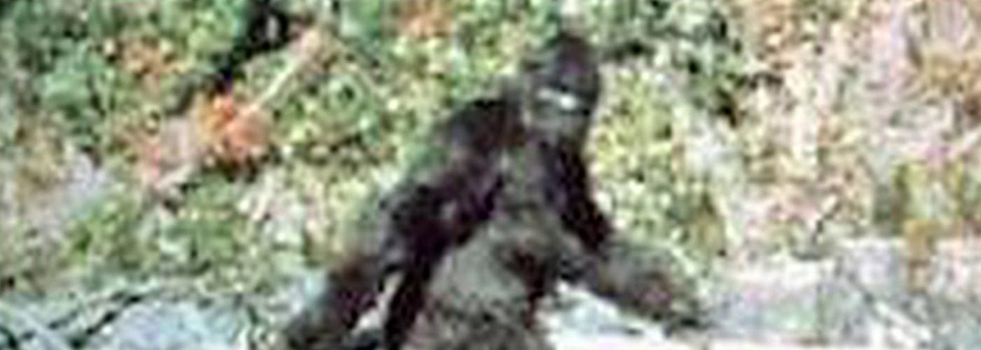 bigfoot16x16 thumbnail