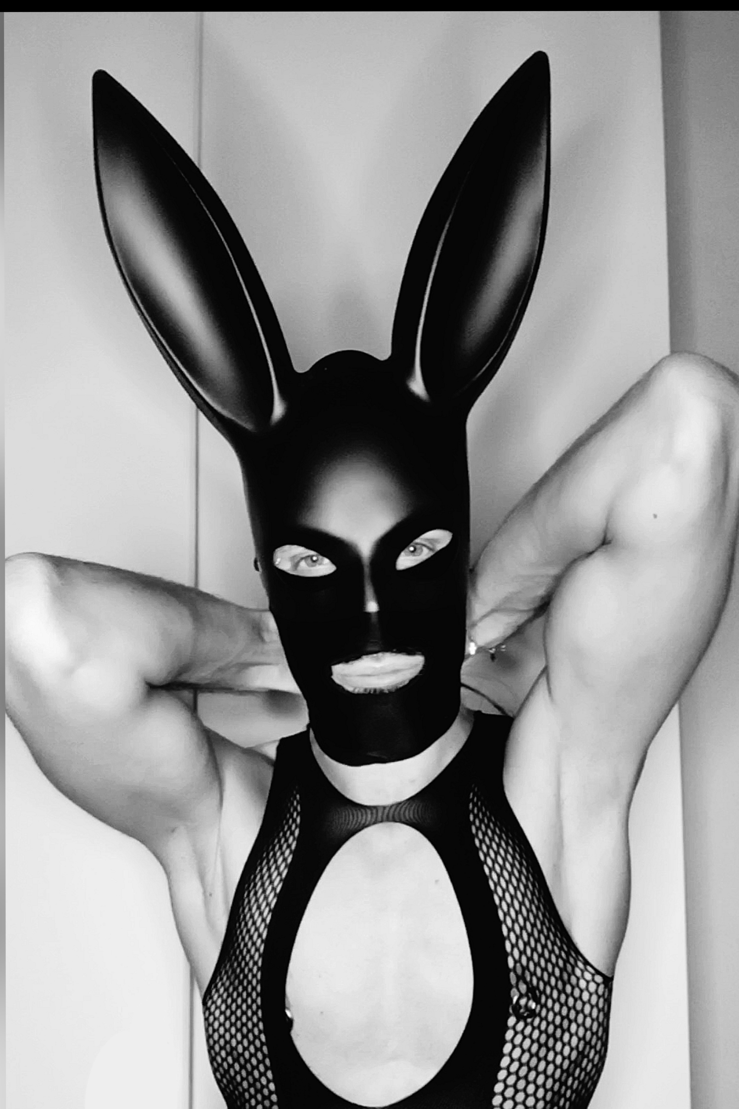 black_rabbitx profile