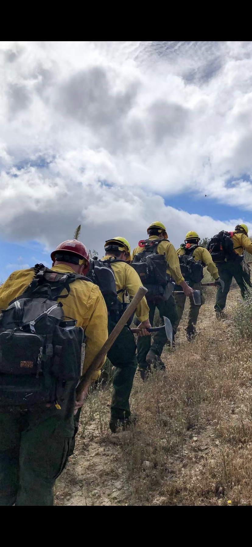 Wildland fire/Physical training daily profile