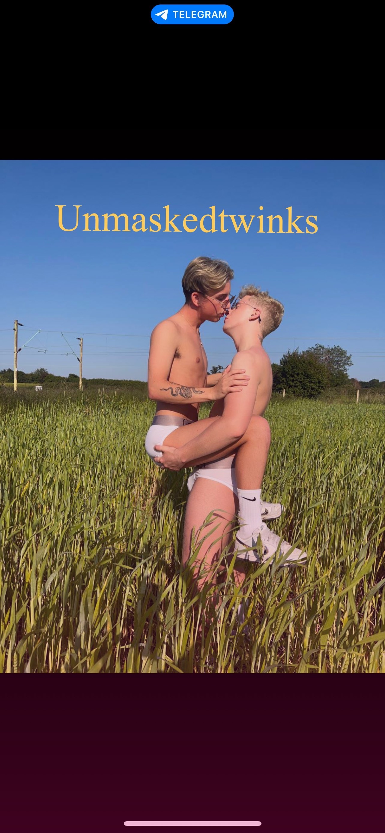 Unmaskedtwinks profile