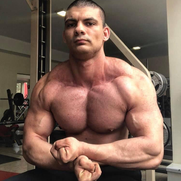 muscledomination profile