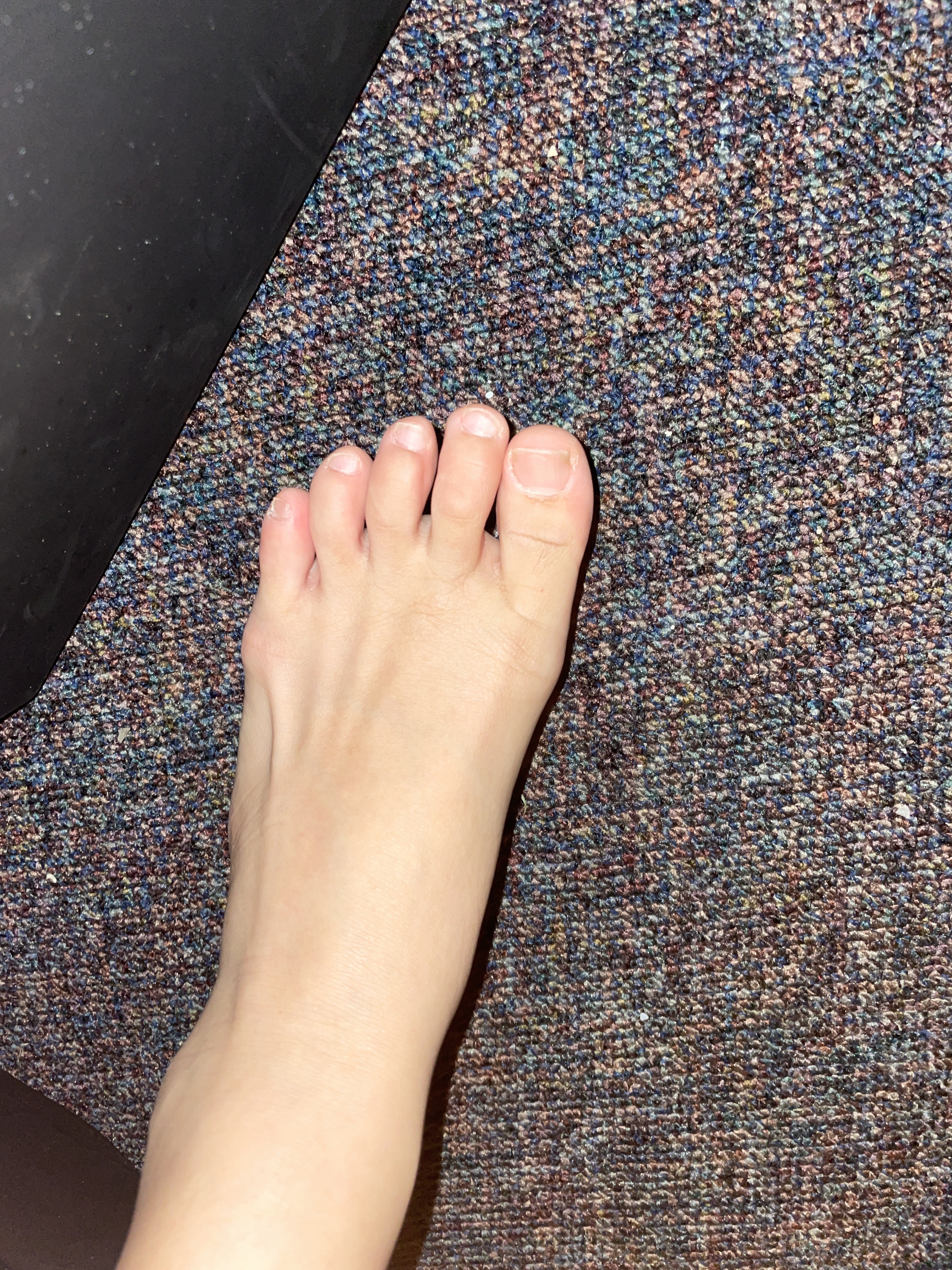 Daily feet for ya profile