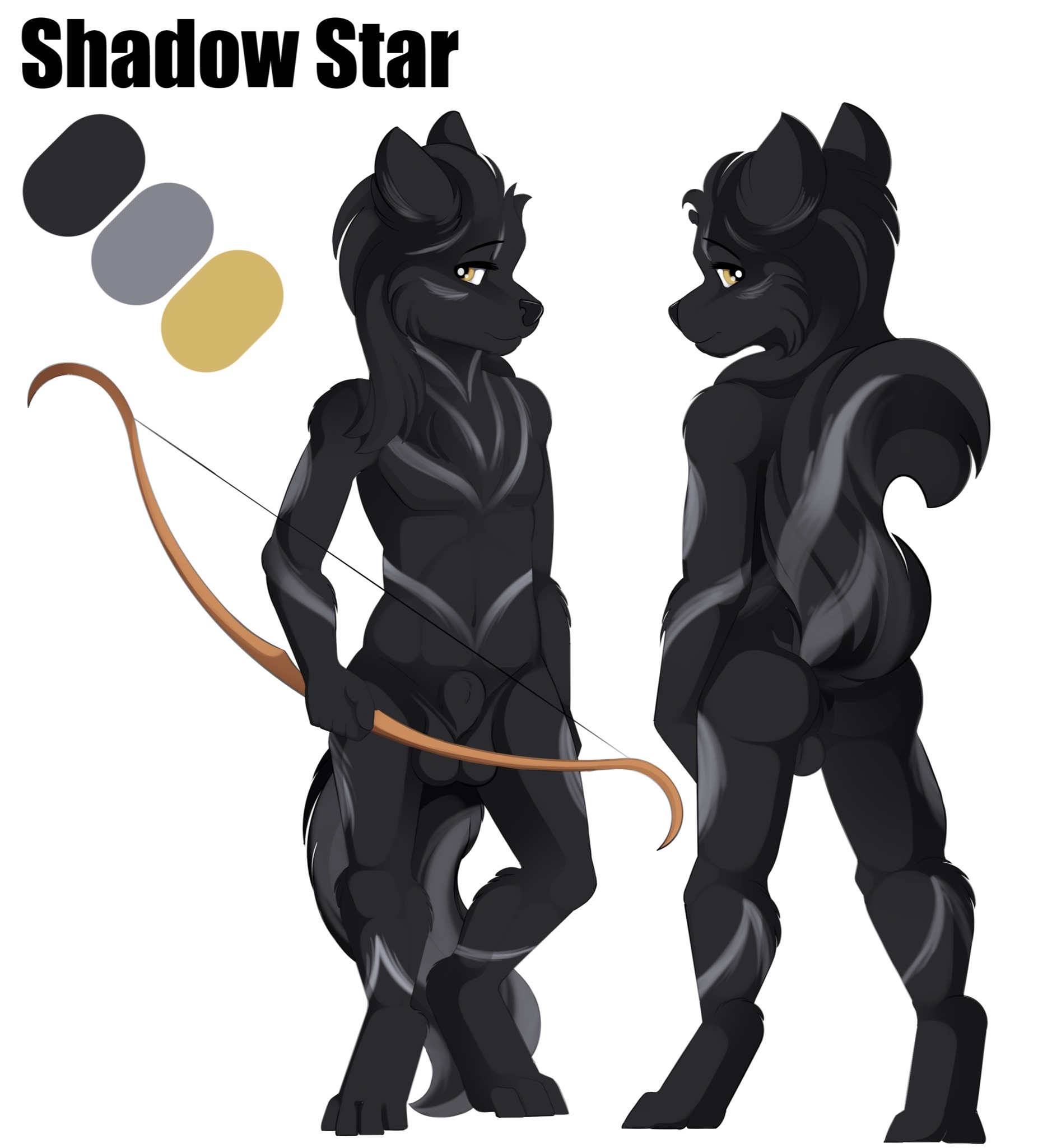 shadowstar69cover