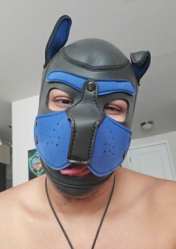 Pup Gaymer profile