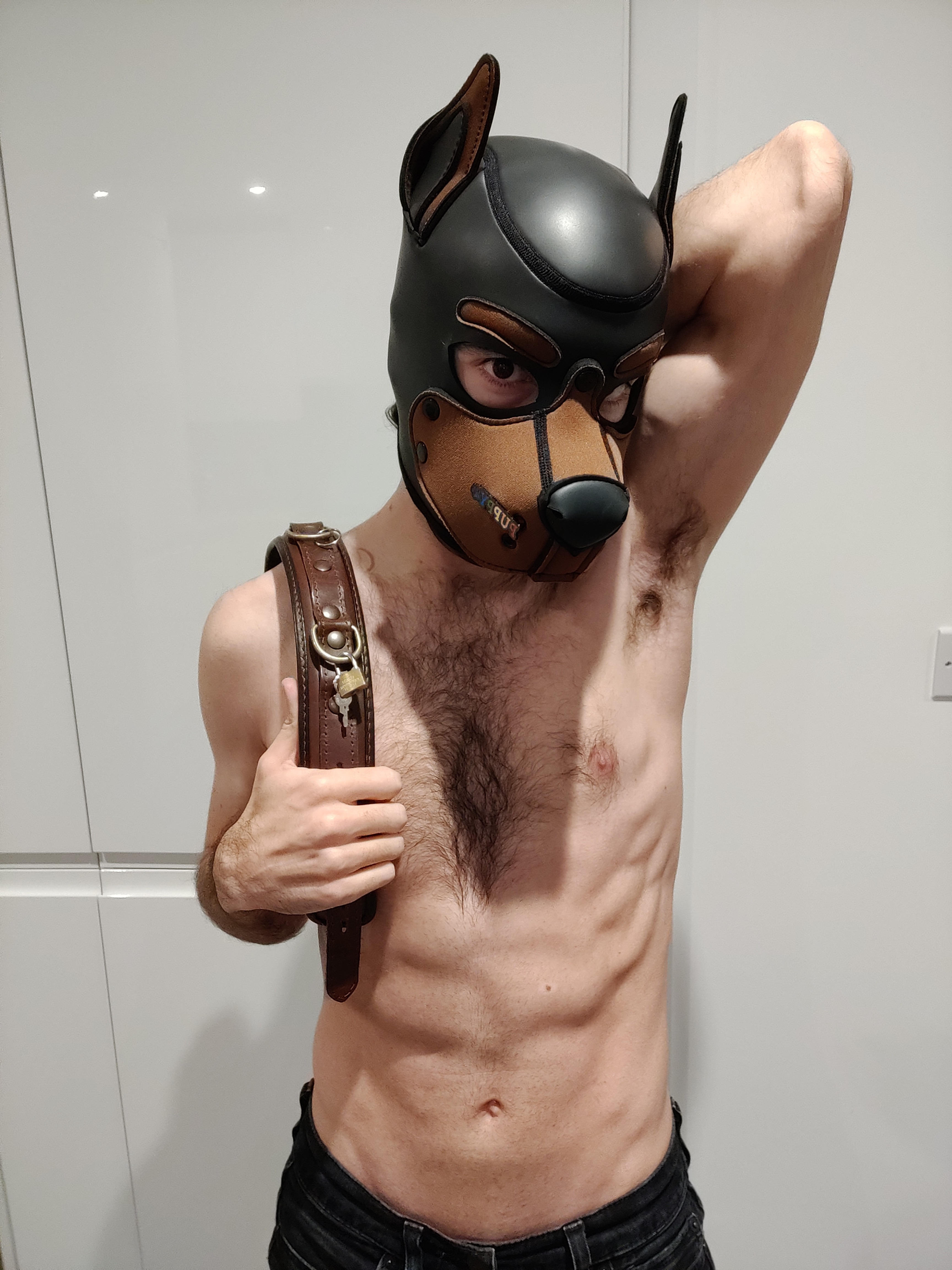 pup_hermecover