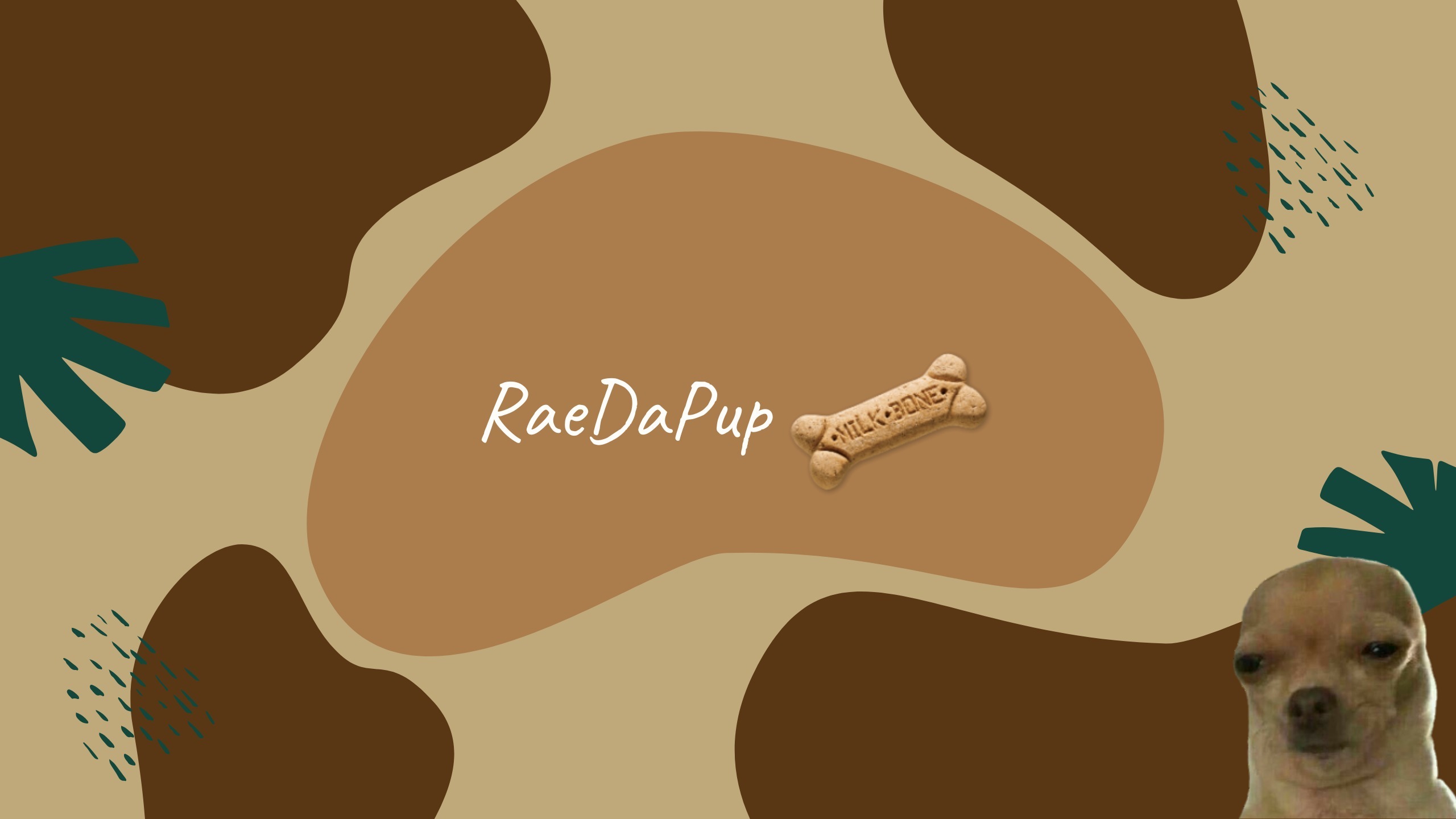 raedapup thumbnail