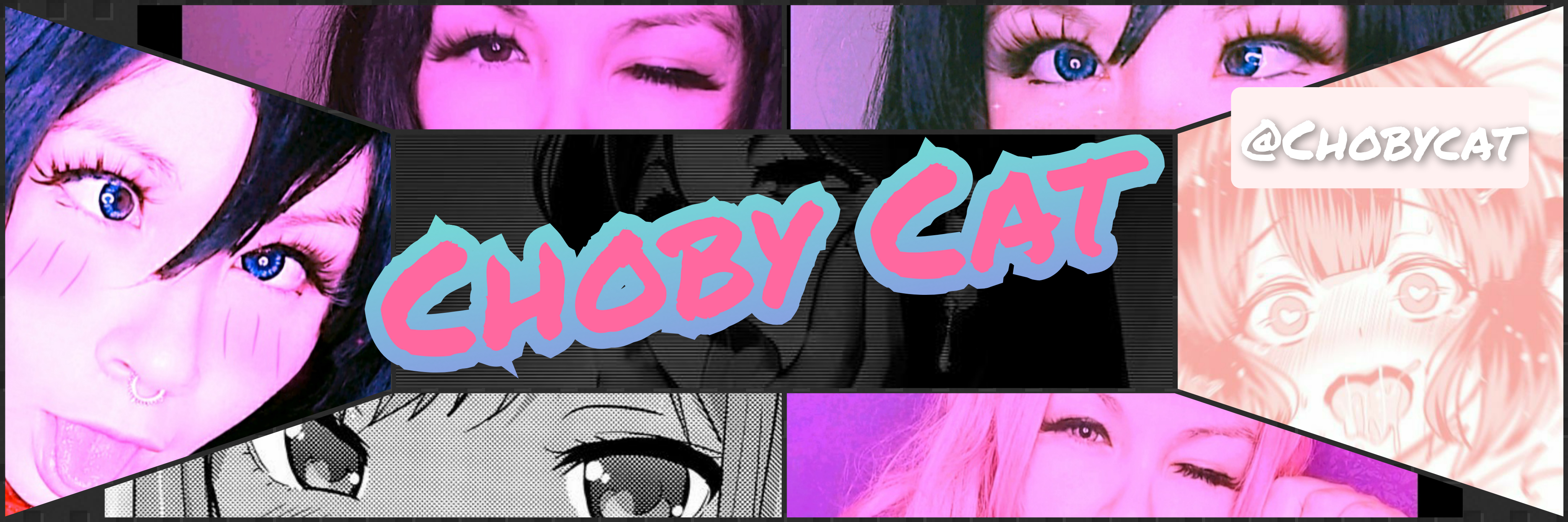 Choby cat 🐙 thumbnail