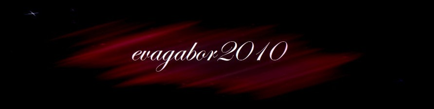 evagabor2010 thumbnail