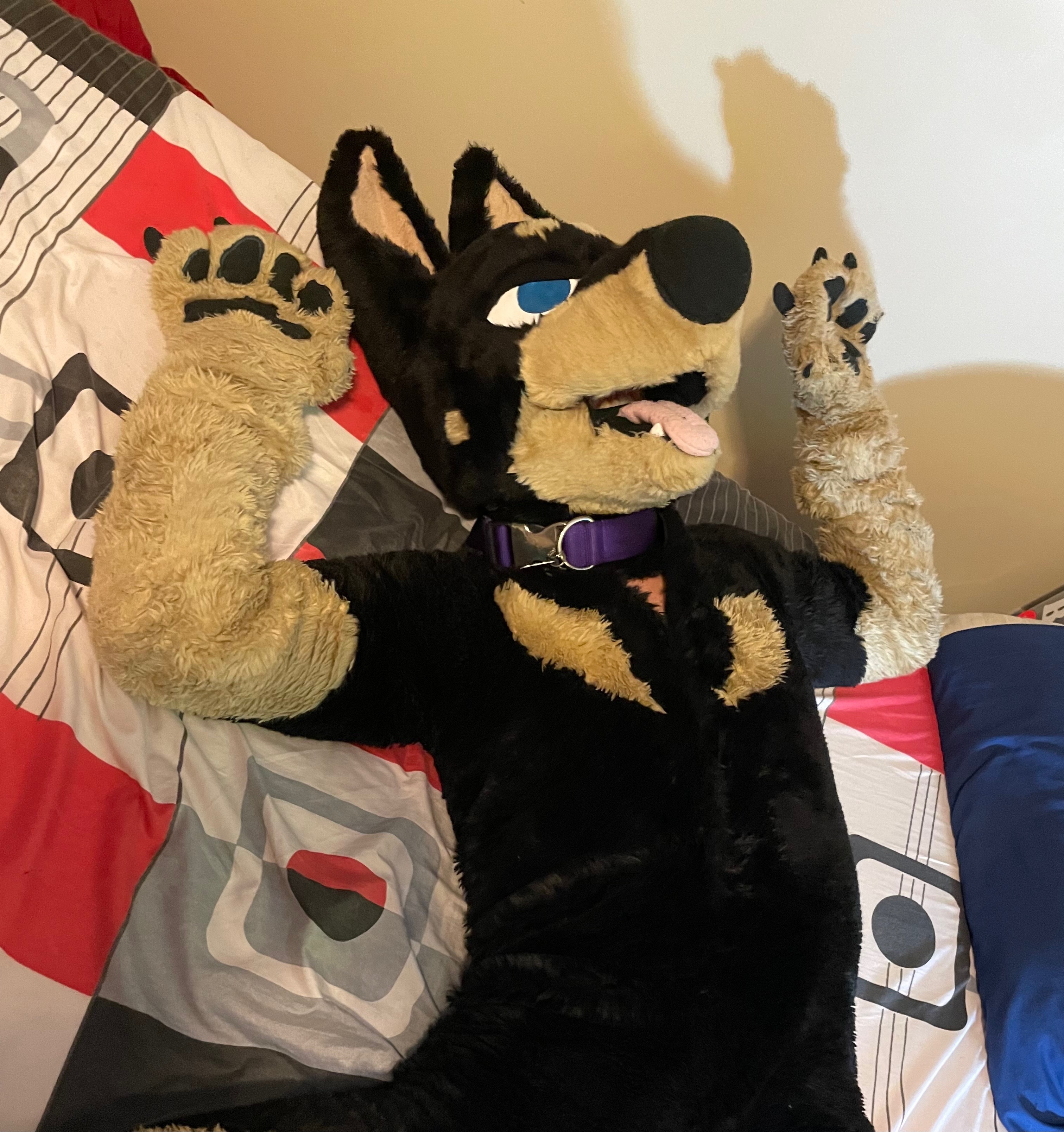 MURRSUIT thumbnail