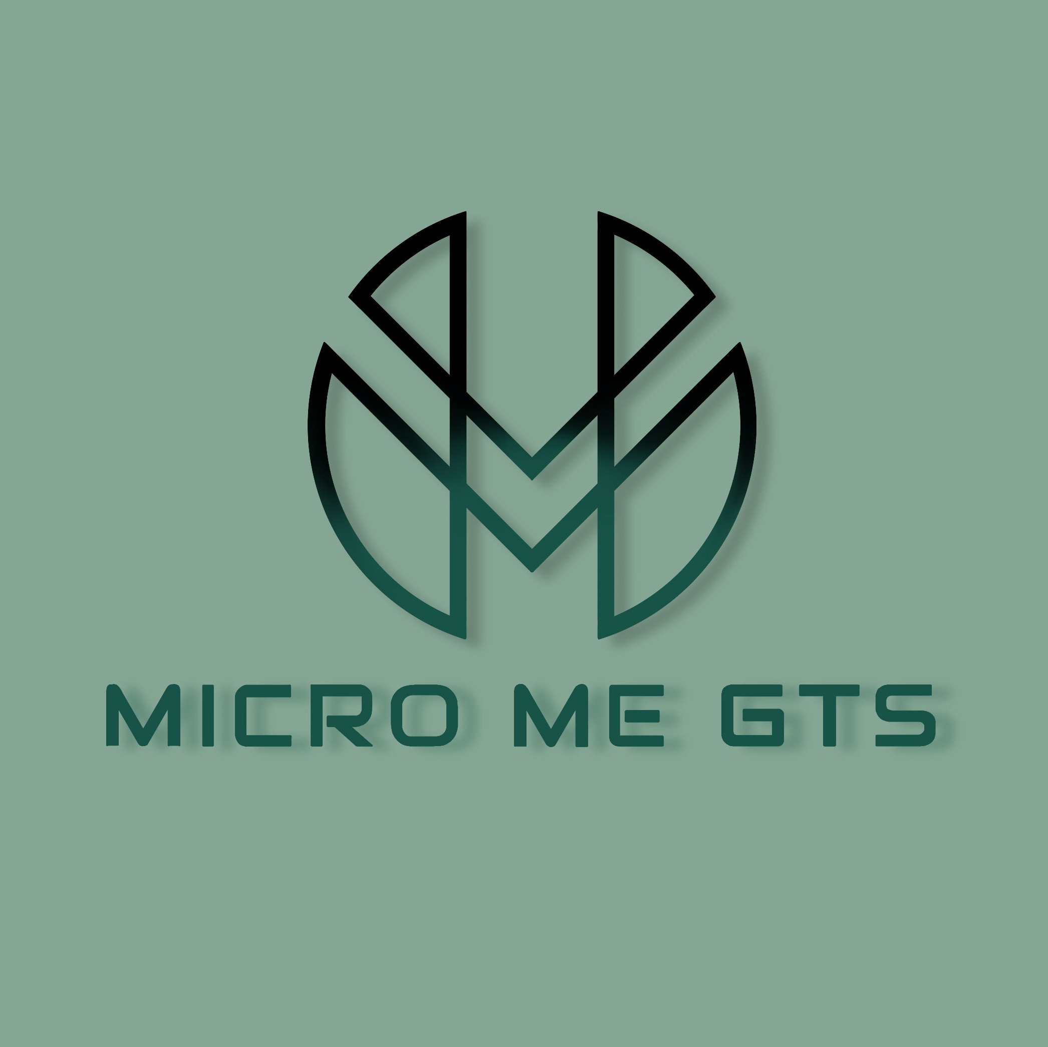 Micro Me GTS profile