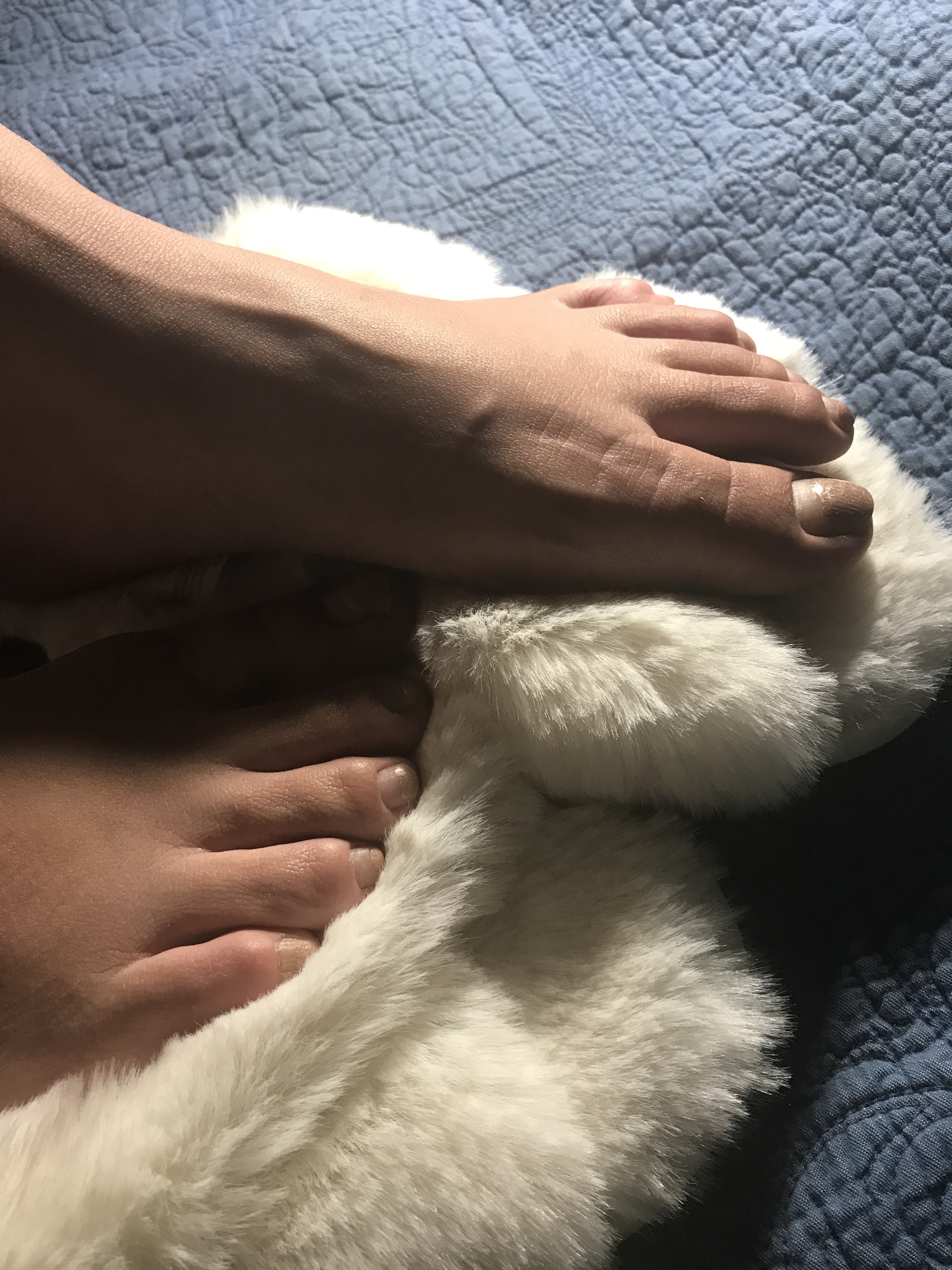 feetcticious11 profile