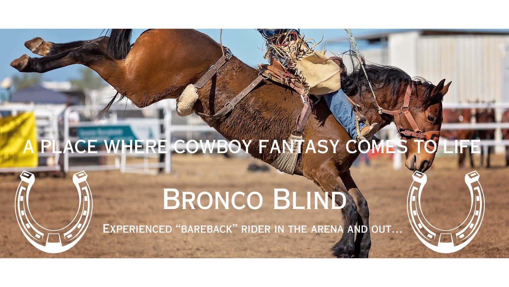 Bronco Blind thumbnail