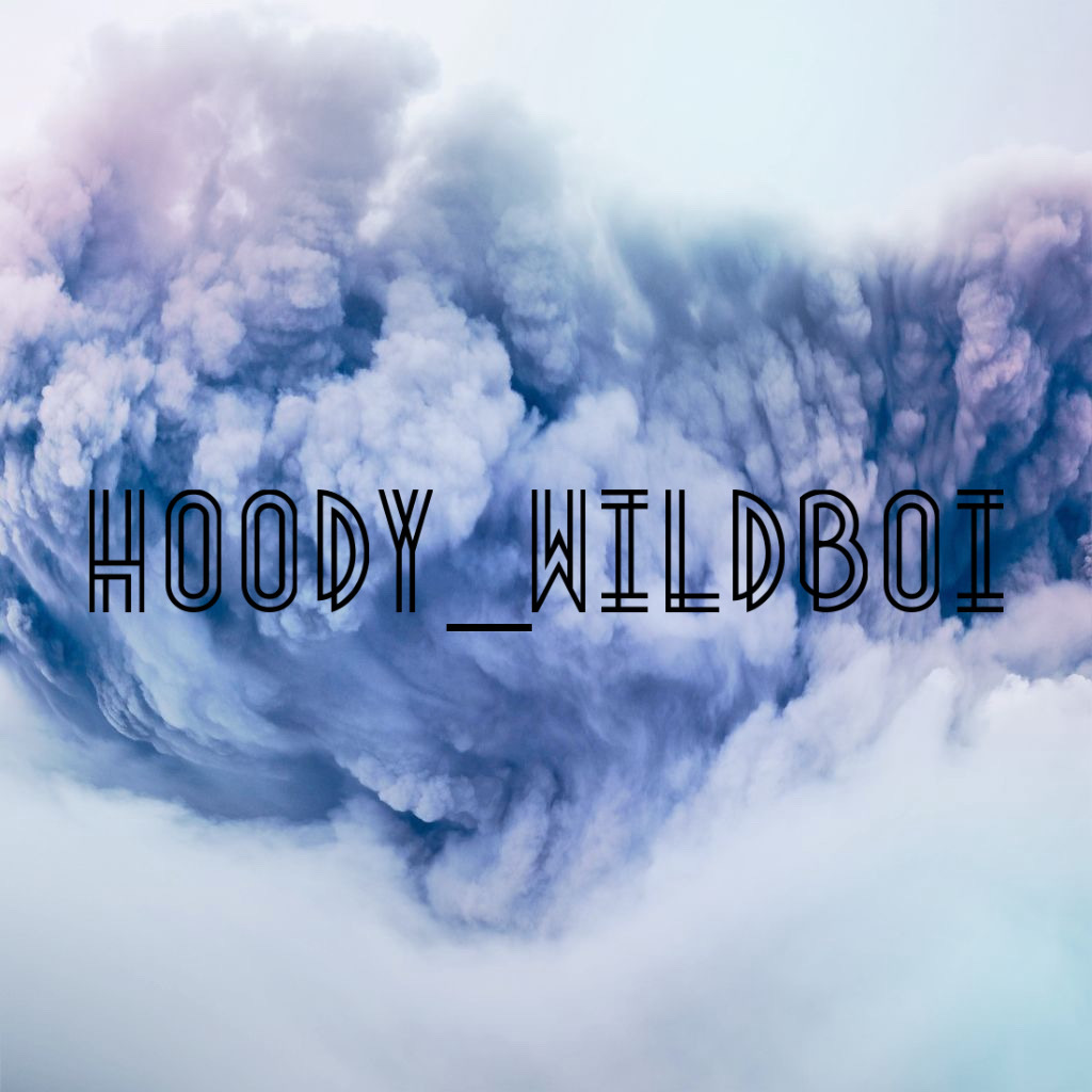 hoody_wildboi thumbnail