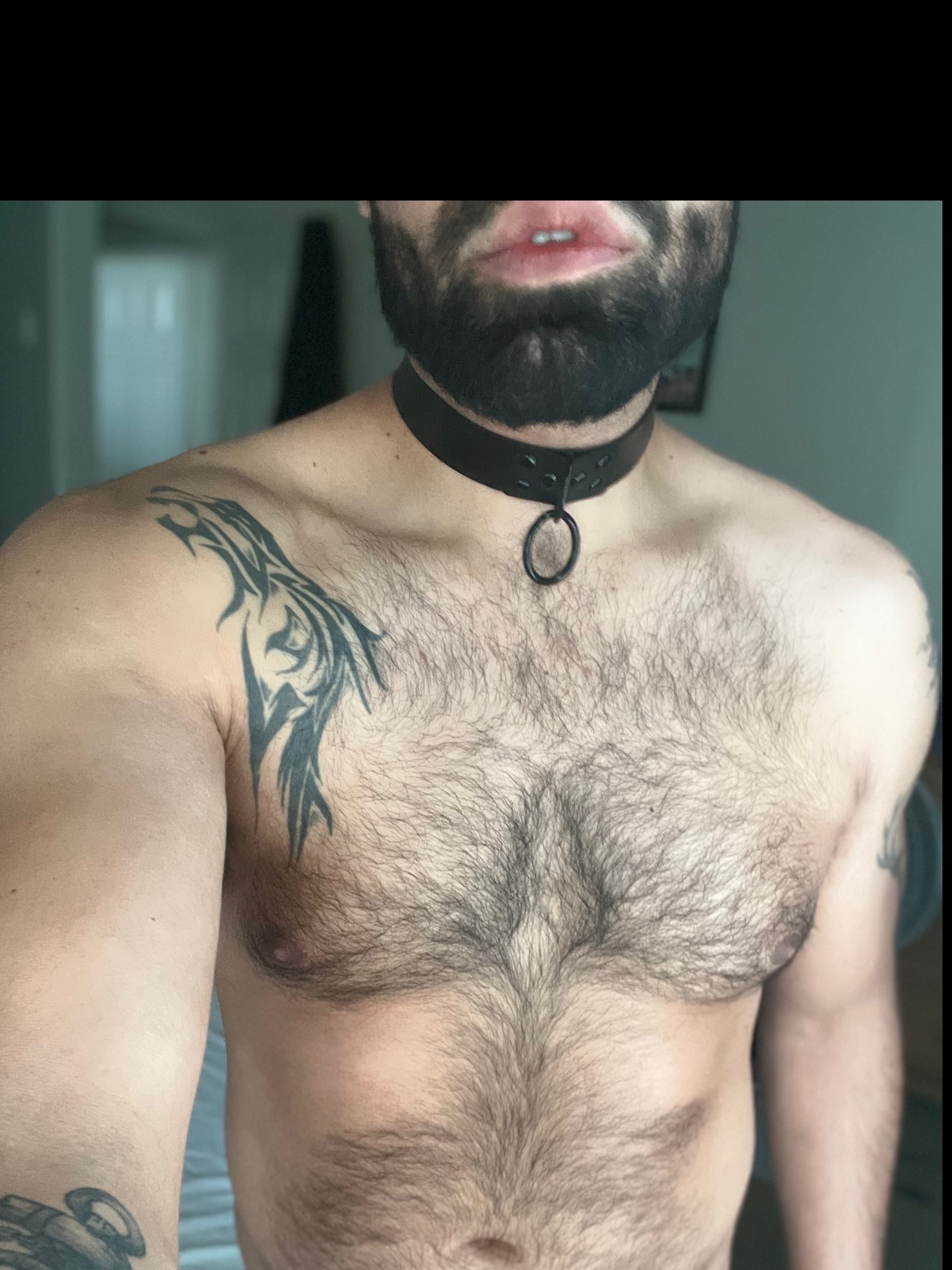 otter_slave profile