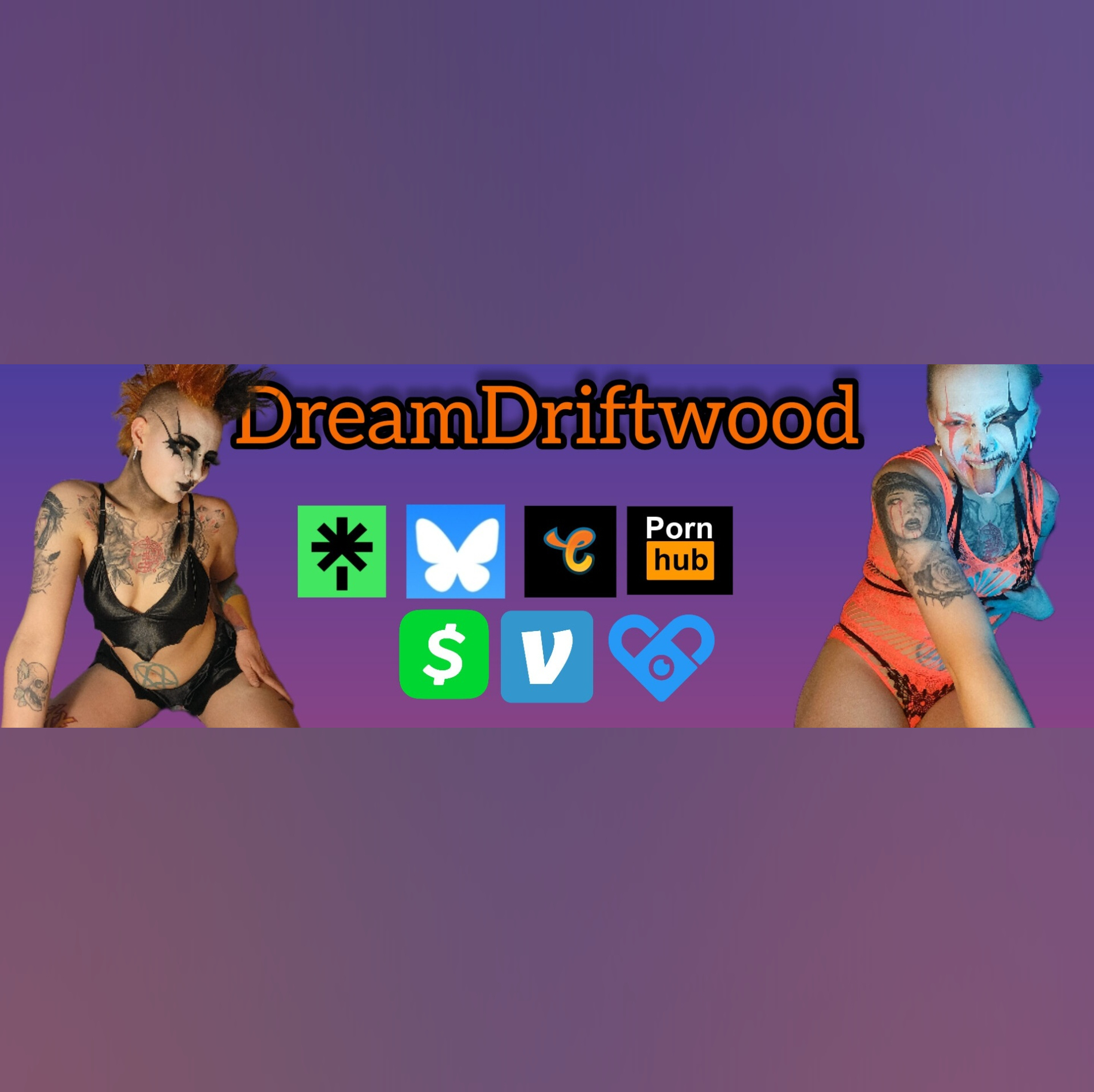 dreamdriftwoodcover