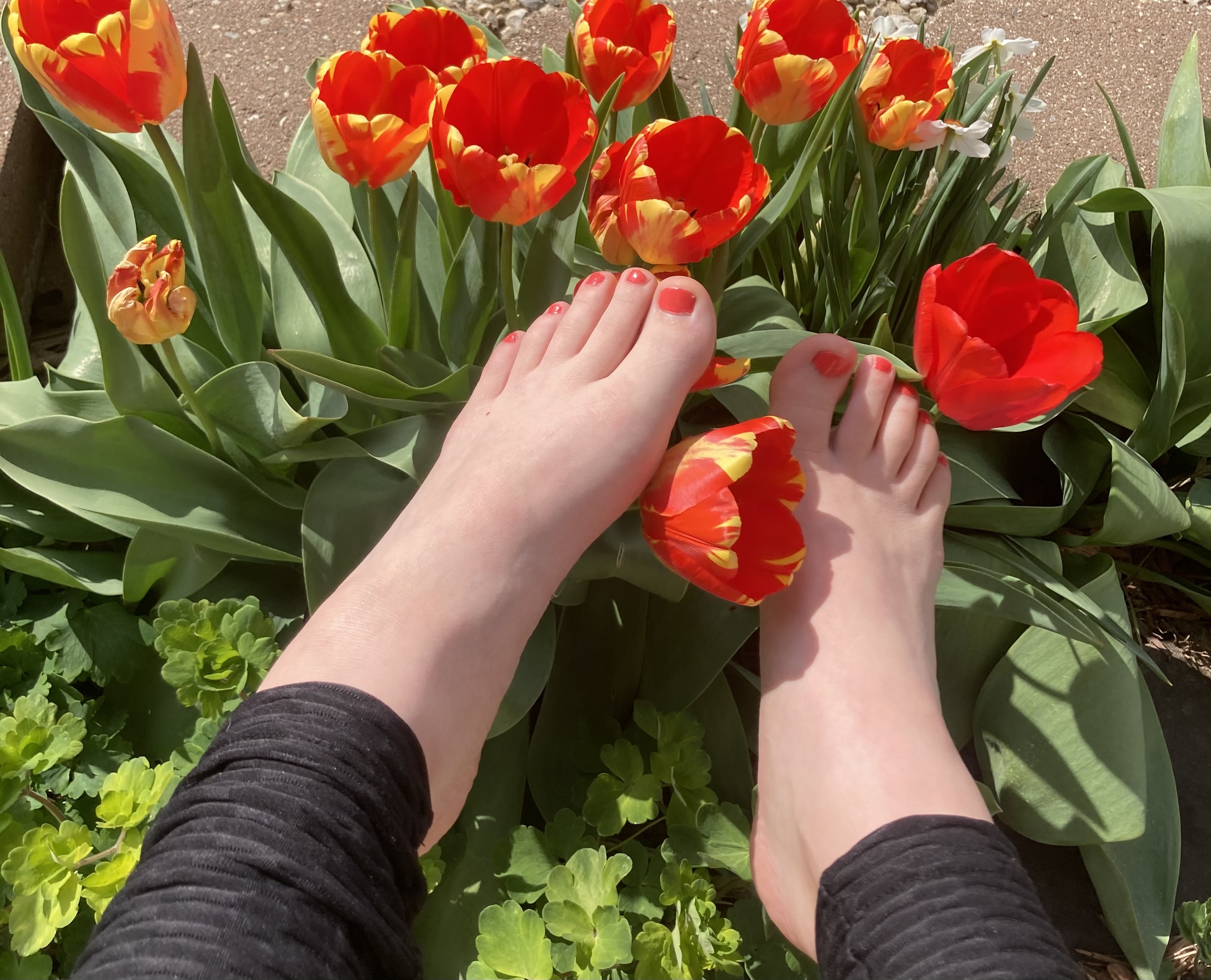 lillyslesbiantoes profile