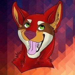 candy corn wolf dog profile