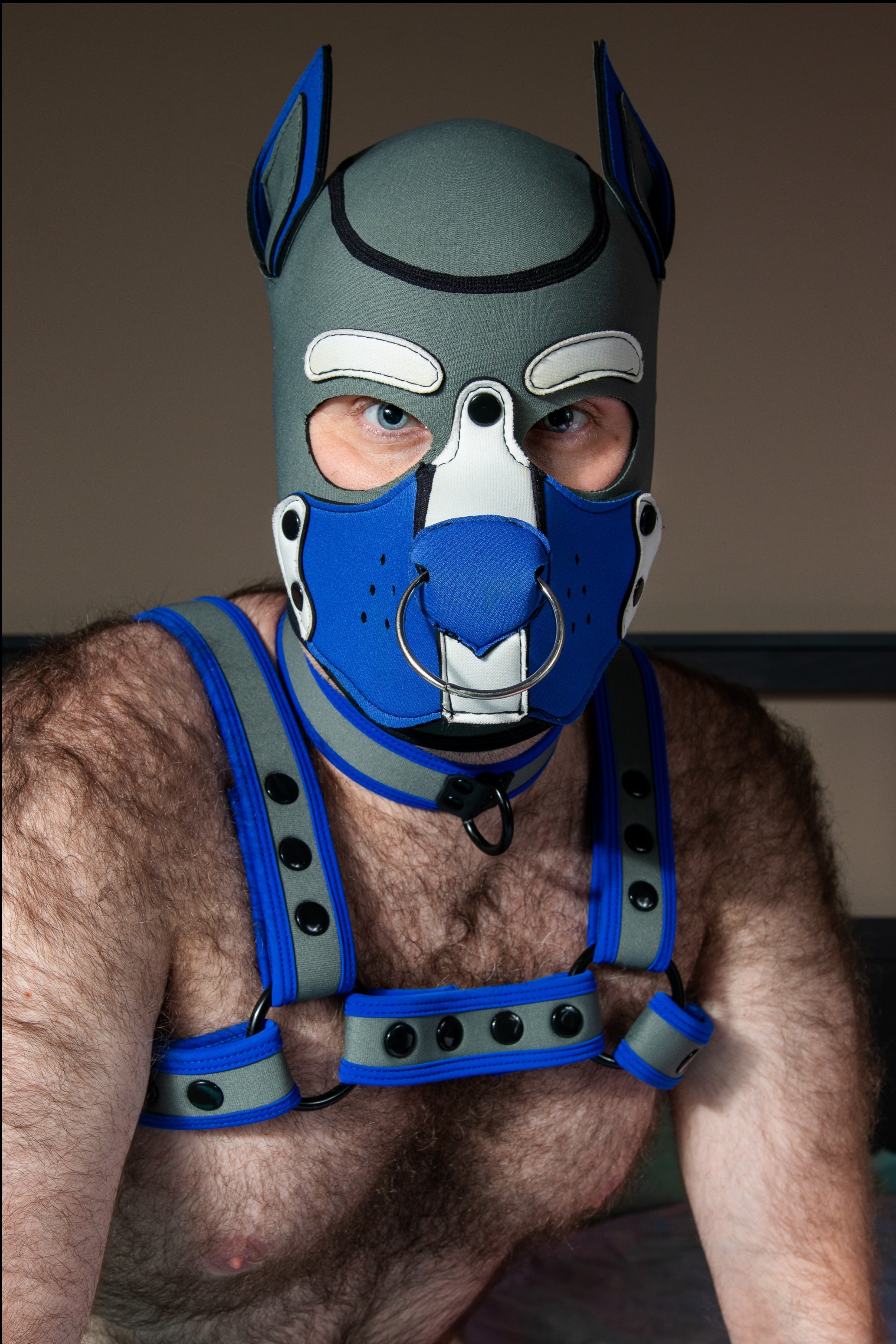 Alpha Pup Blue profile