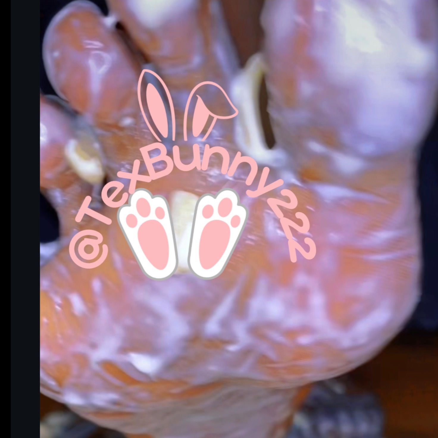 texbunny thumbnail