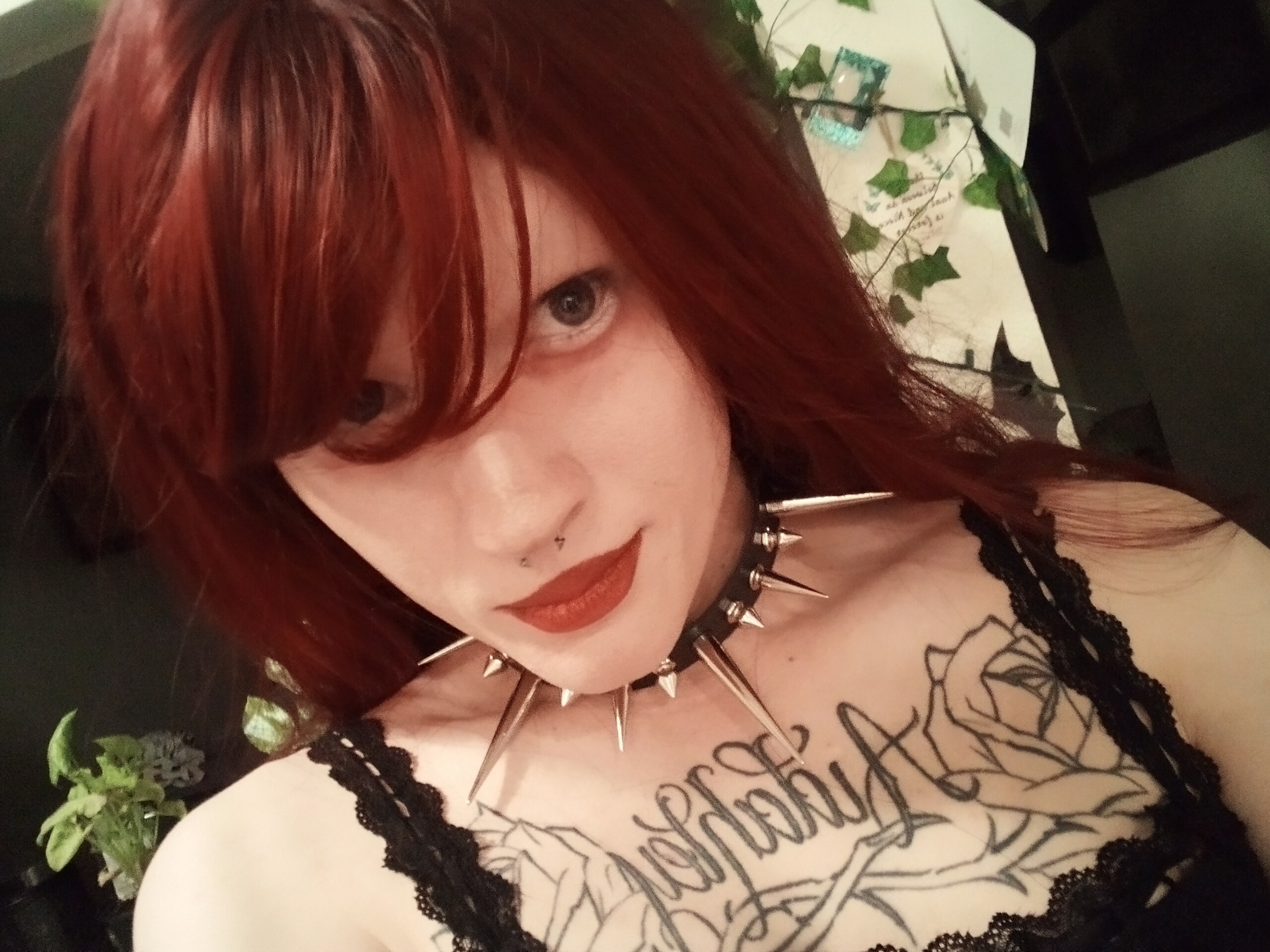 hellnokitty666 profile