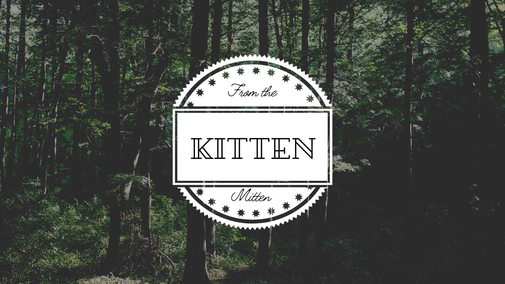 Kitten thumbnail