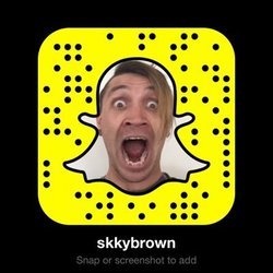 skkybrowncover