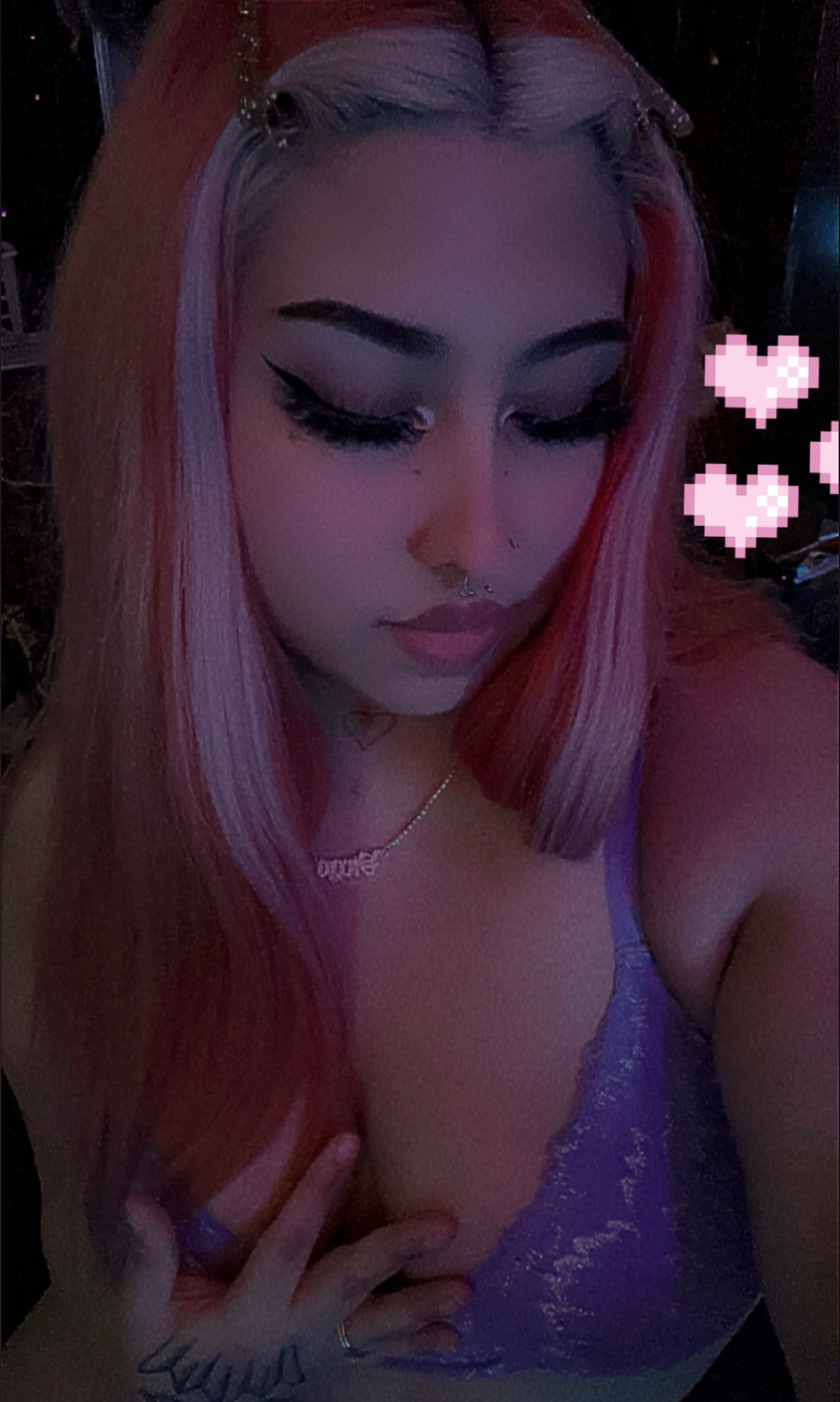 melkittykatt profile