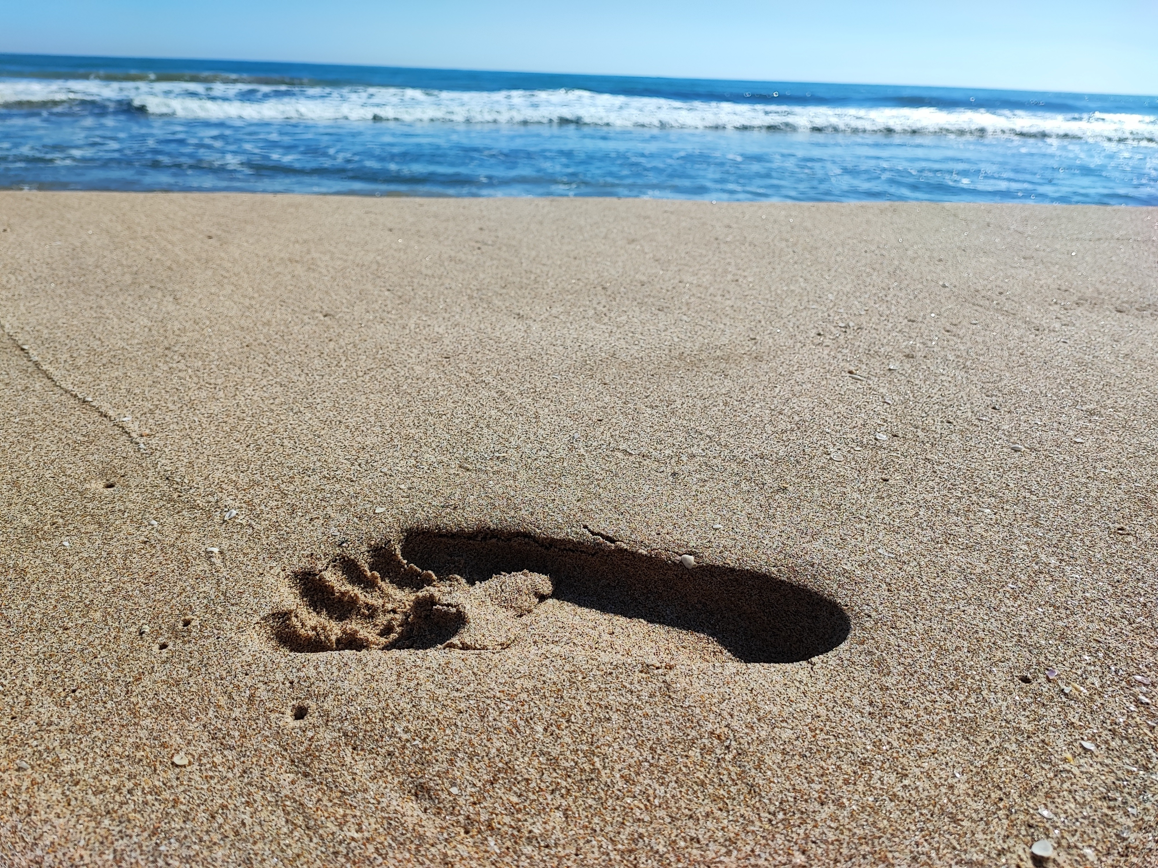 StrangerFeet profile