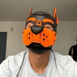 pup_rawuucover