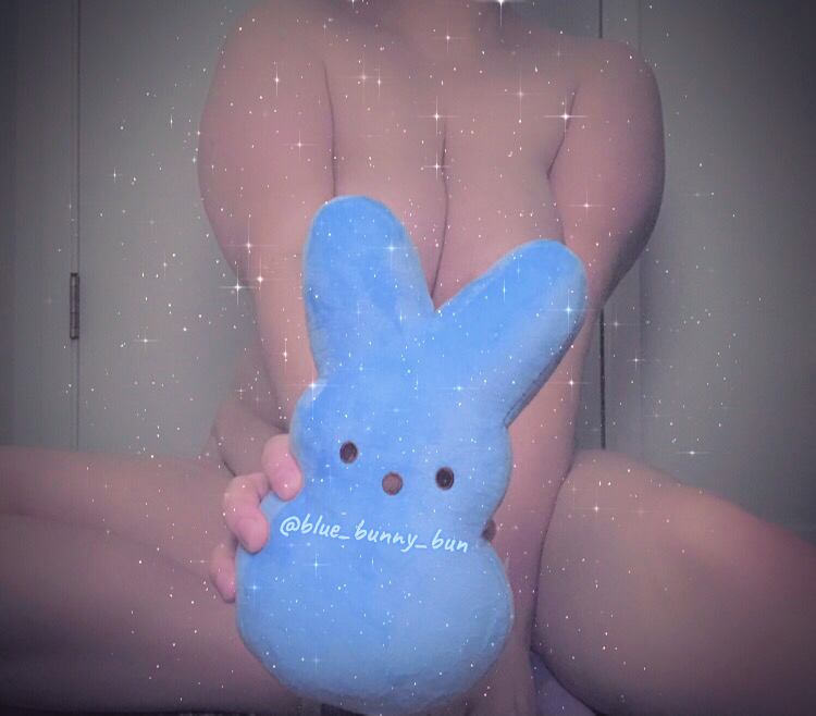 blue_bunny_buncover