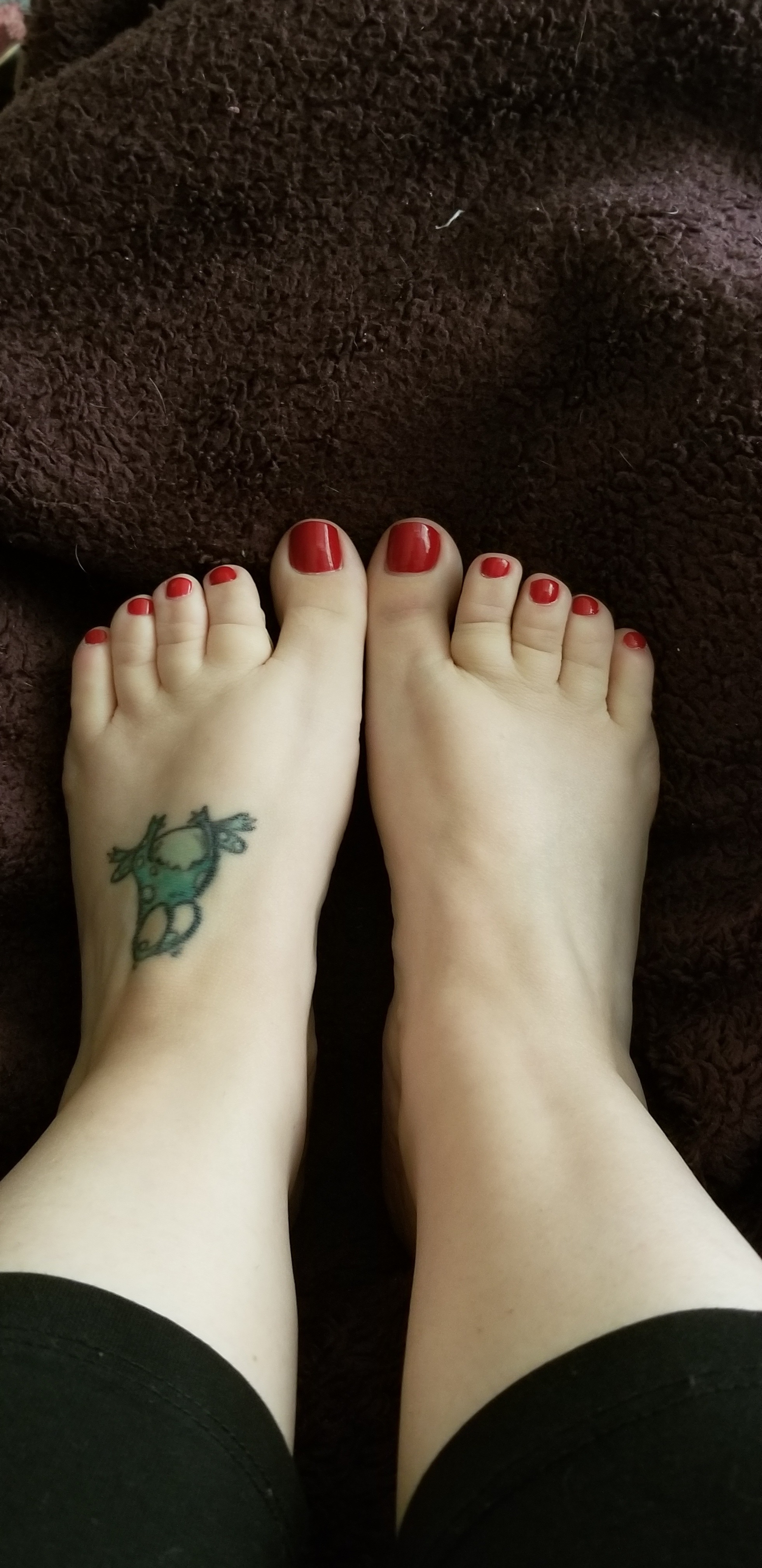 lolahastinytoes profile