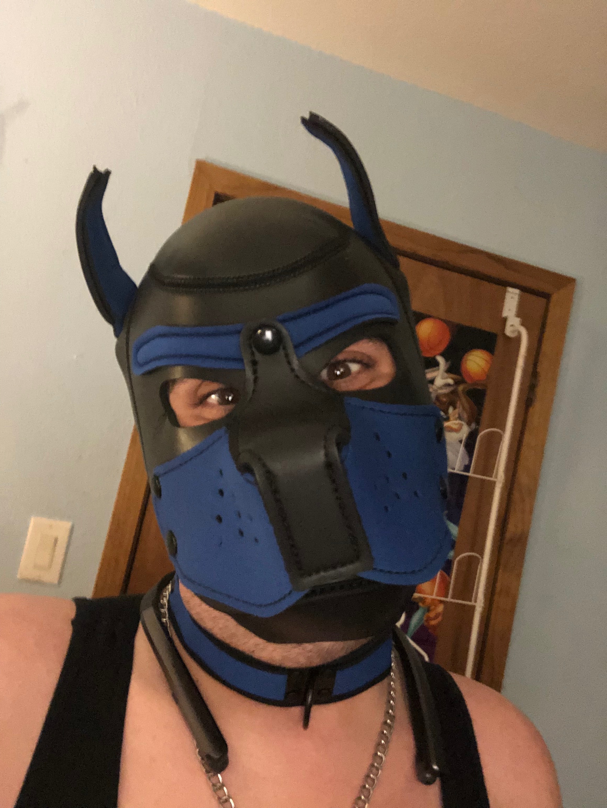 pup_sparkey profile