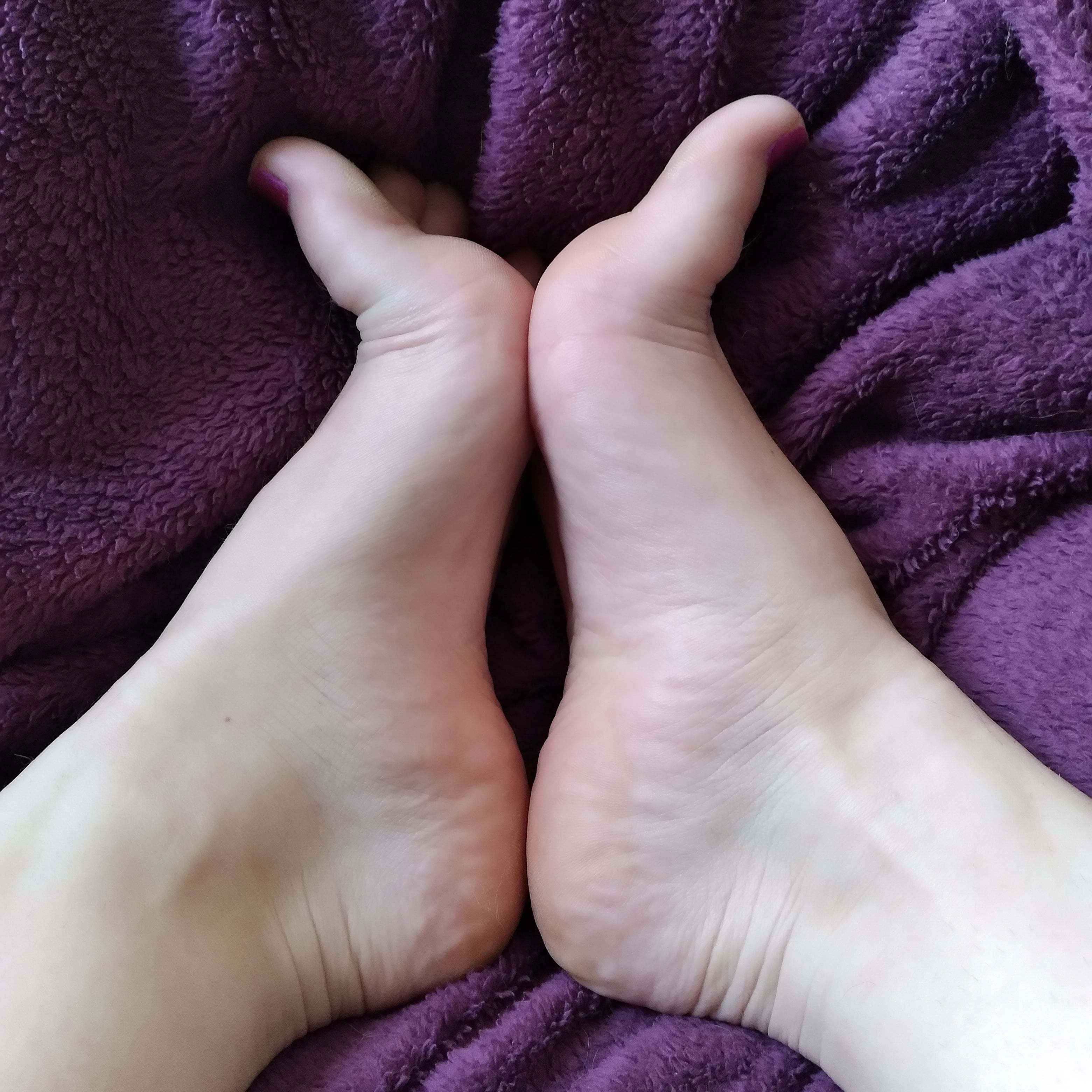 shaynesfeet profile