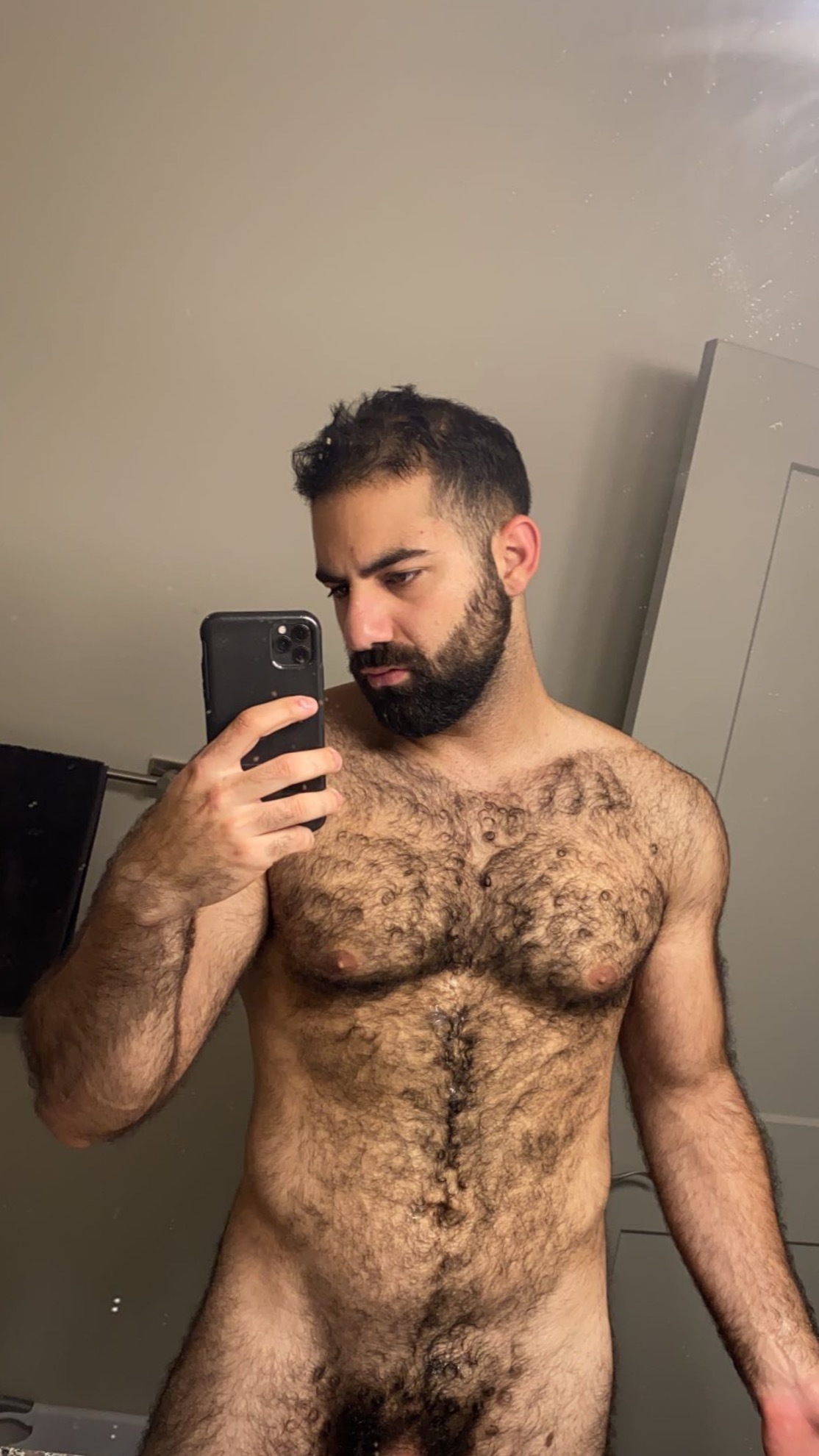 thelebanesedaddy profile